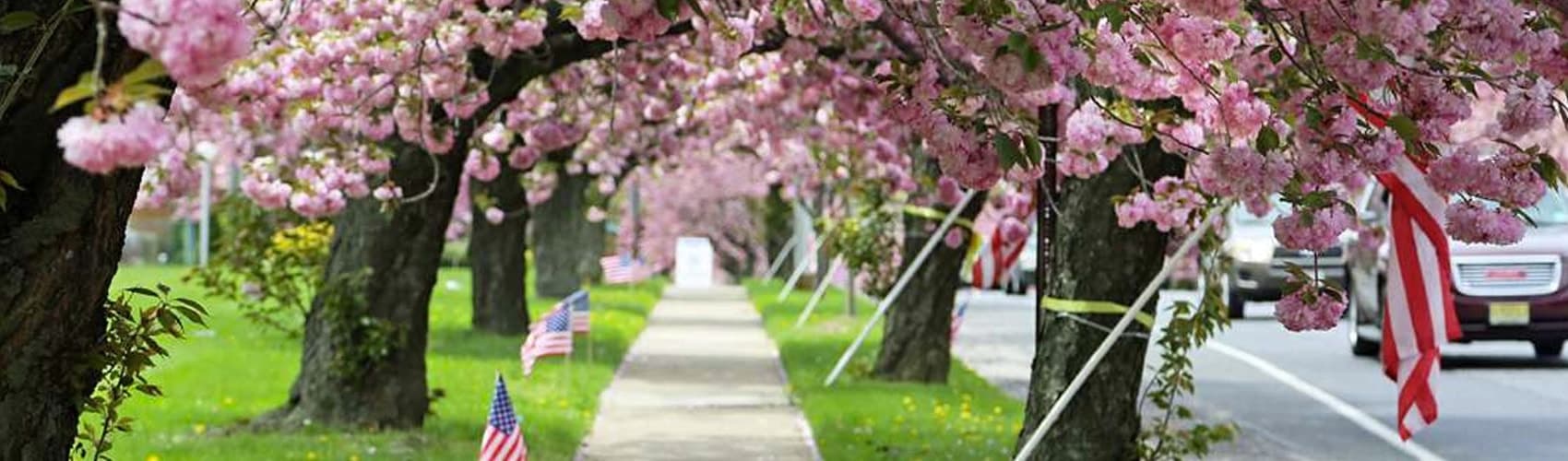 Tree-lined walkway with spring blossoms — 1st Inspection Services Cherry Hill, NJ office